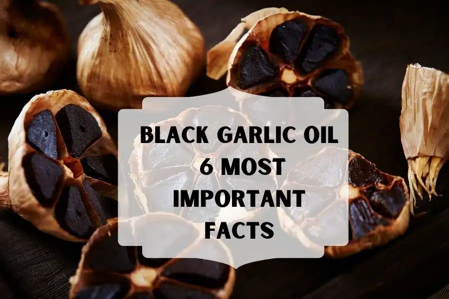 Black Garlic Oil_ 6 most important facts