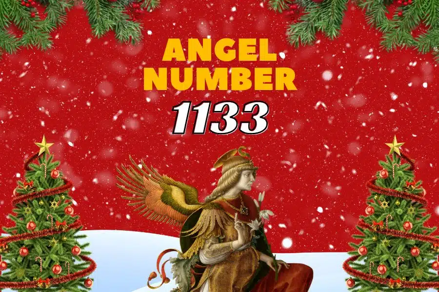 What Does 1133 Angel Number Mean