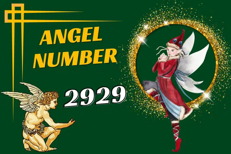 Twin Flame 2929 Angel Number Meaning Love And Its Hidden Meaning