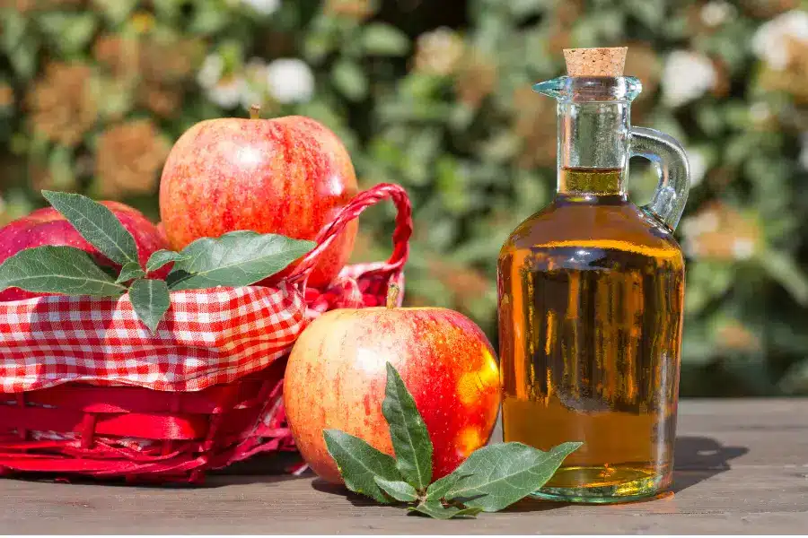 Does Apple Cider Vinegar Boosts Testosterone