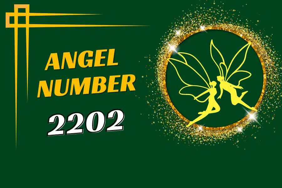 2202 Angel Number - Stay Calm And Be Diplomatic