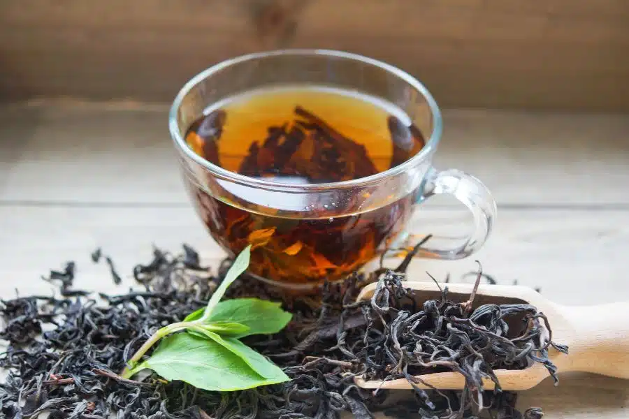 Manglier Tea - Benefits, How to Make, Where to Buy