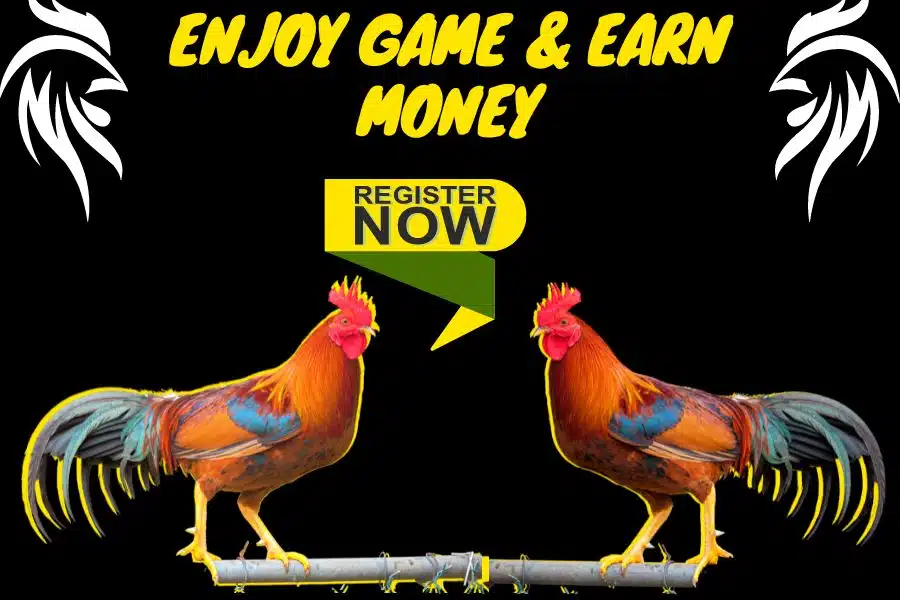 WPC2029 A Platform to Enjoy Game And Earn Money
