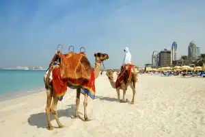 Top Attractions in Dubai You Must Visit