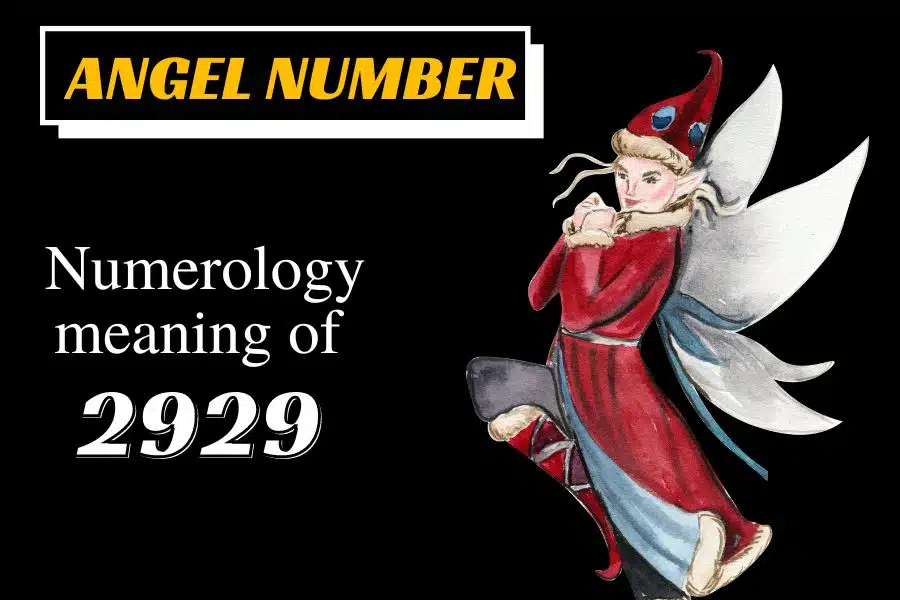 Twin Flame 2929 Angel Number Meaning Love And Its Hidden Meaning