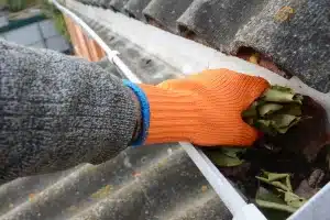 Detailed Tips for Fall Gutter Cleaning