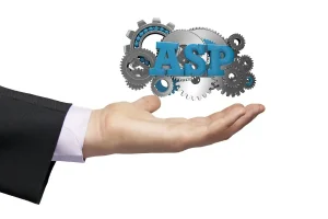 Hire an Asp.Net Development Company