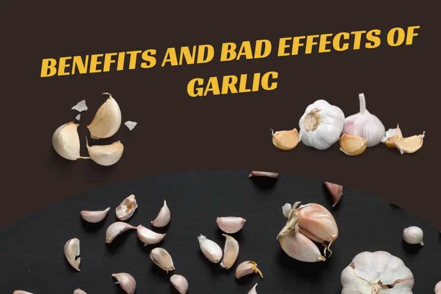 Benefits and Bad Effects of Garlic