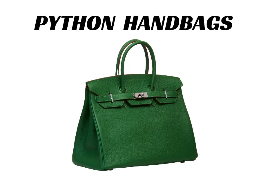 Best Python Handbags