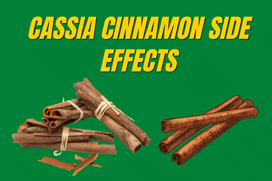 Cassia Cinnamon Side Effects