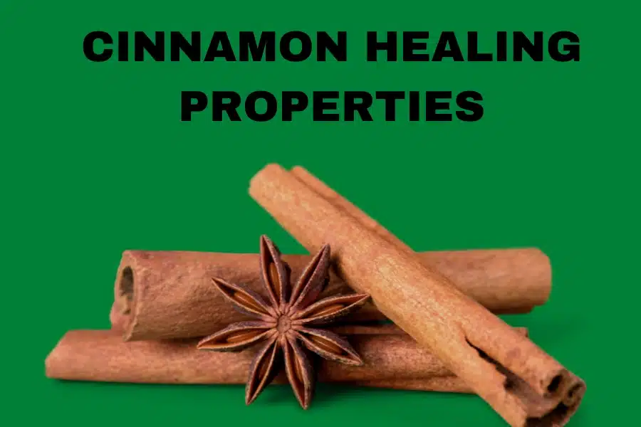 Cinnamon Healing Properties