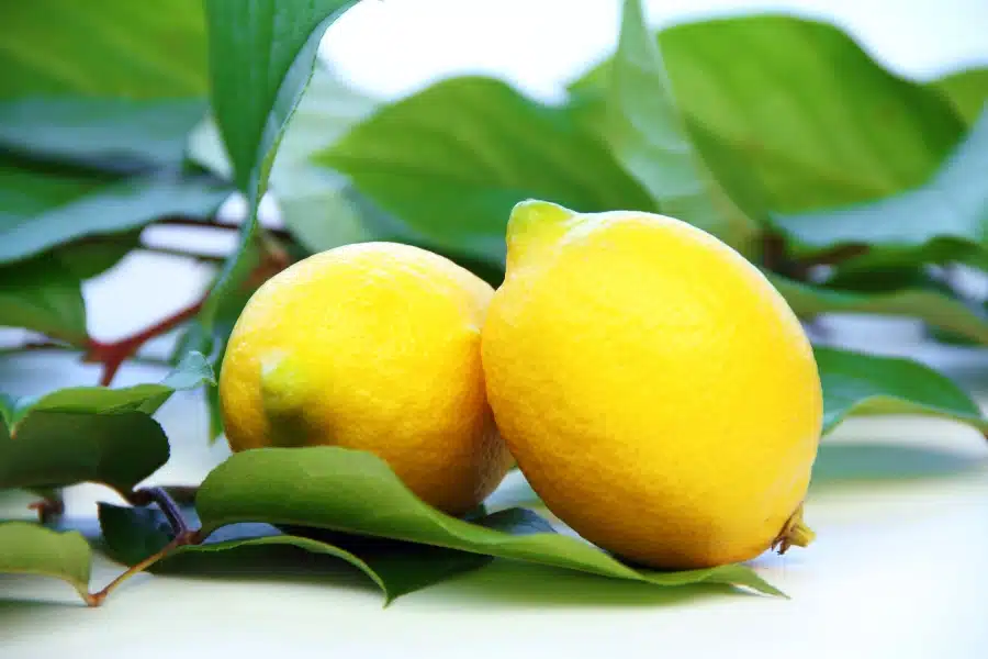 Side effects of lemon