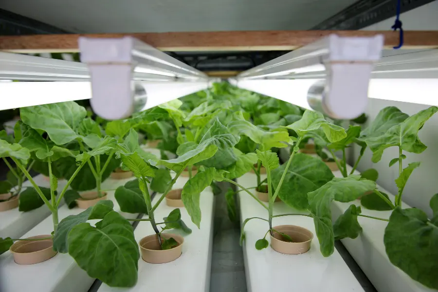 Technology Drives Sustainability in Agriculture