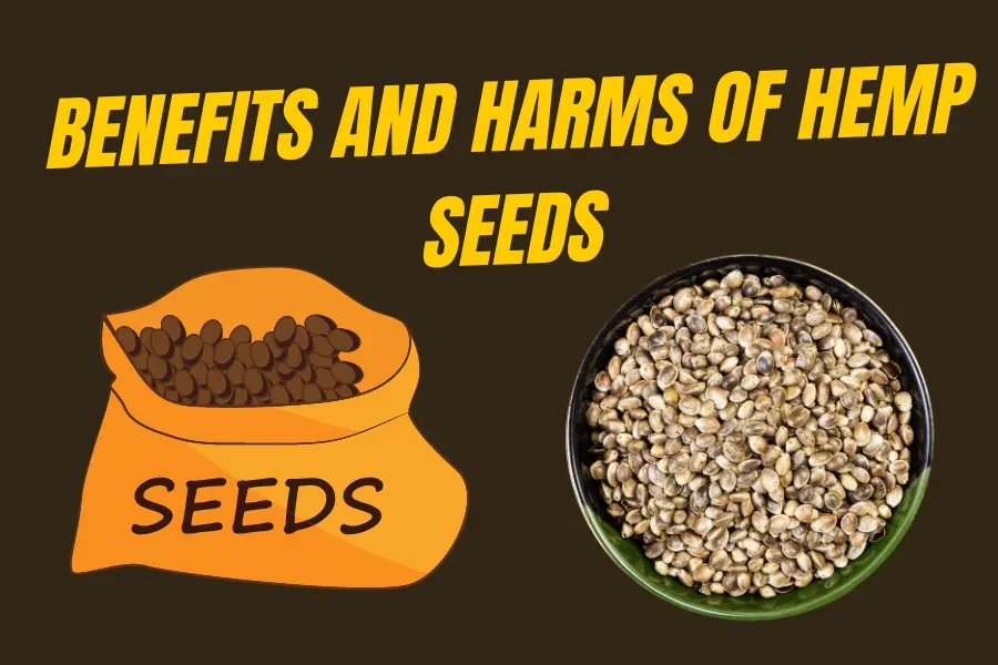 benefits and harms of Hemp seeds