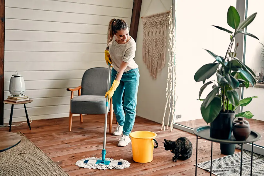 Cleaning A House in 30 Minutes or Less