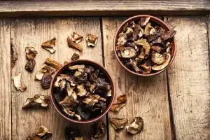 Cognitive and Physical Effects What Do Dried Mushrooms Do To You