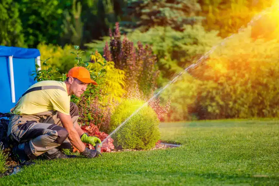 Make a good watering system and teach your child about watering techniques