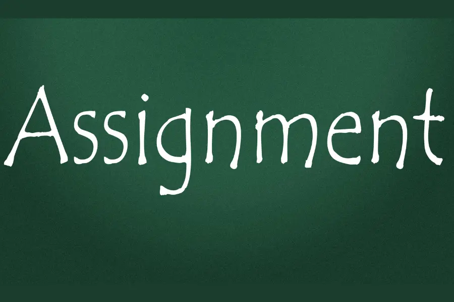 What Are Assignment Writing Services, And How Do They Work