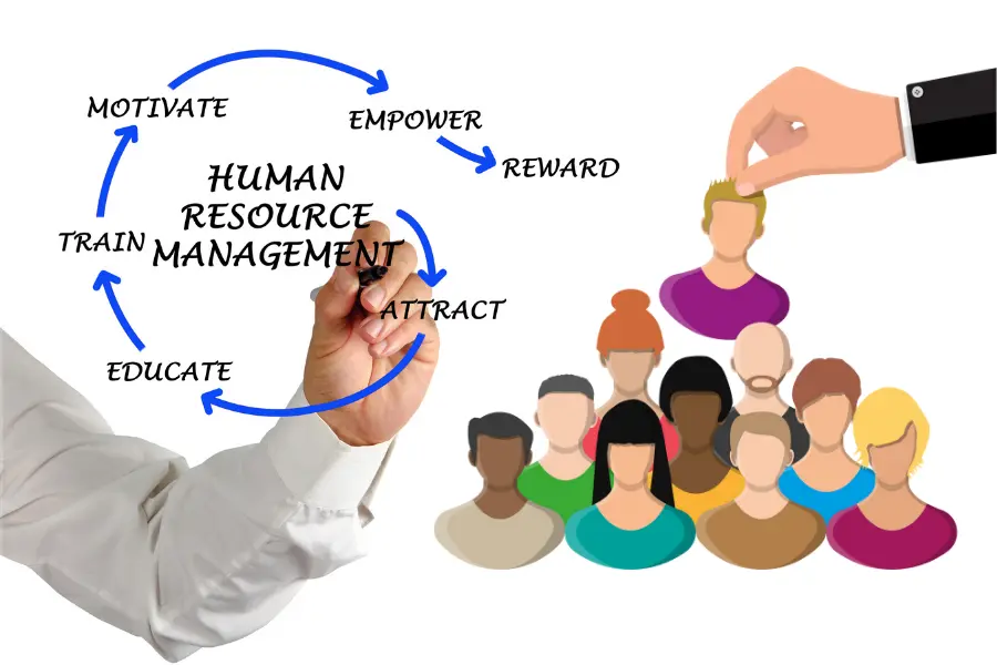 What Does A Human Resource Manager Do