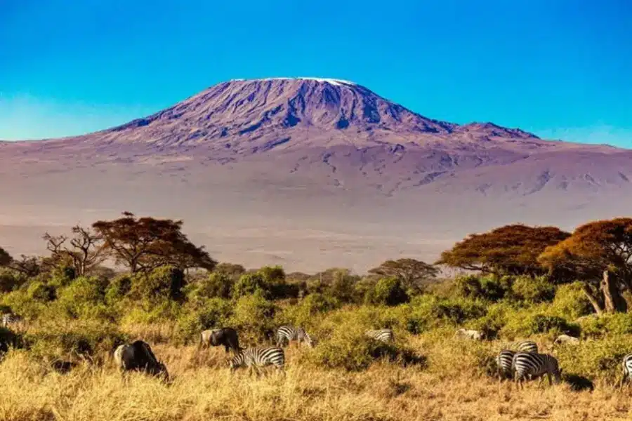 Fun and Memorable Things to Do in Kilimanjaro as Soon as You Arrive