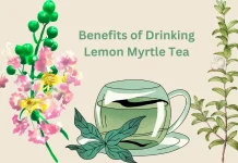 Benefits of Drinking Lemon Myrtle Tea