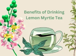 Benefits of Drinking Lemon Myrtle Tea