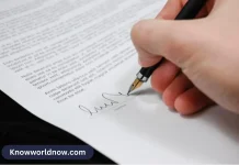 Importance of Having A Contract with Your Employees