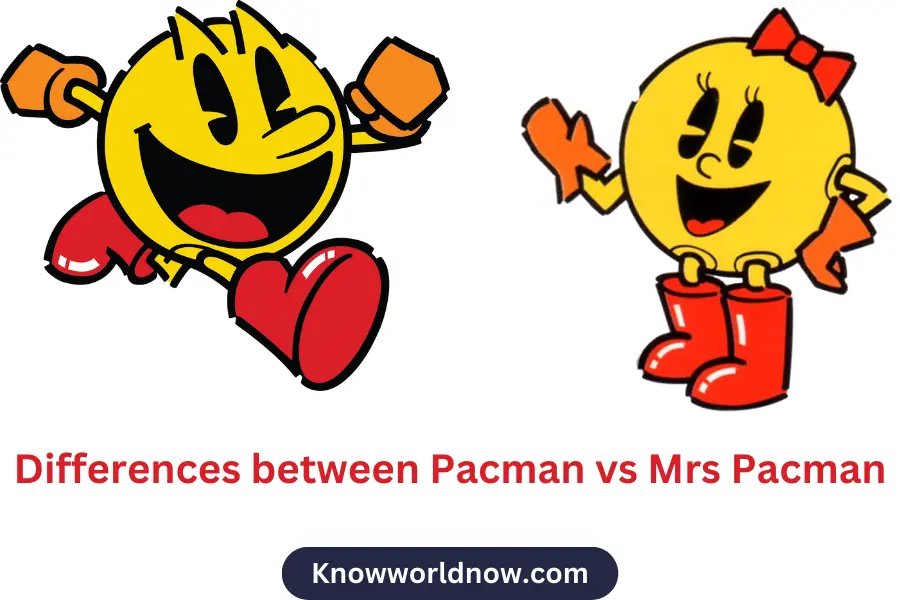 Differences between Pacman vs Mrs Pacman