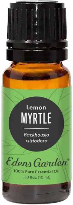 Lemon Myrtle Oil: Benefits, Side Effects, and Usages 