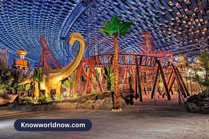 Plan Your Visit to IMG World