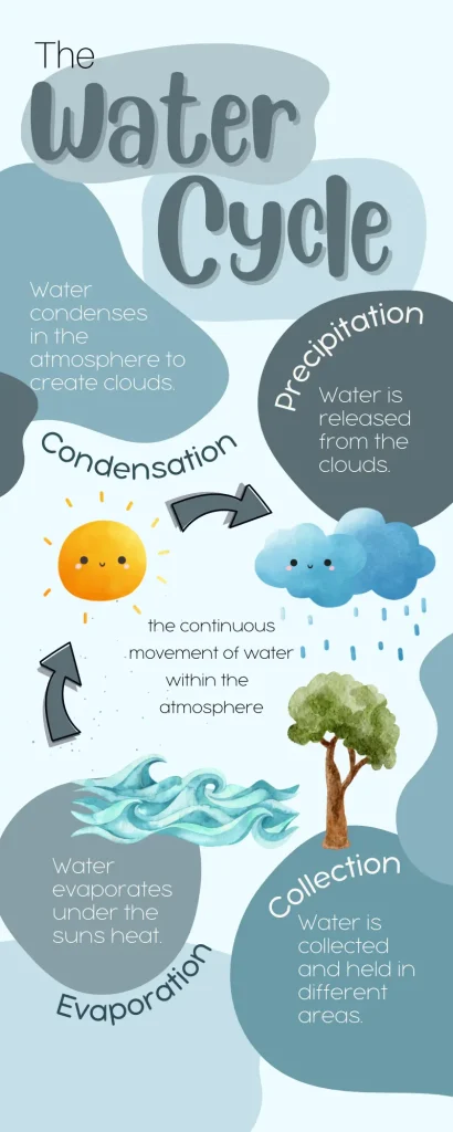 The Water Cycle Science Infographic
