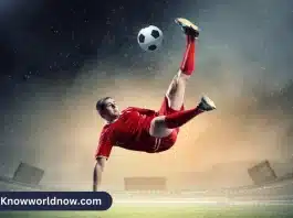 Why is football considered the most popular sport for online betting 
