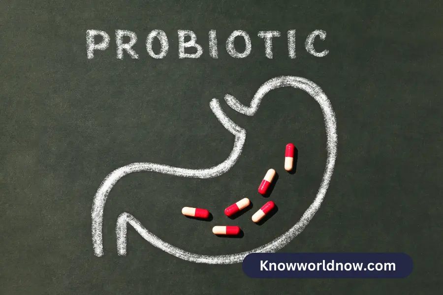 5 Signs To Invest in a Probiotic If You Are A Woman