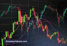 Best Crypto Trading Signals