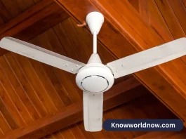 Exploring Energy-Saving Features and Benefits of Ceiling Fans