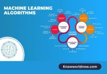 Importance of Machine Learning Algorithms