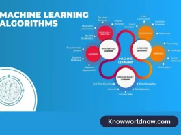 Importance of Machine Learning Algorithms