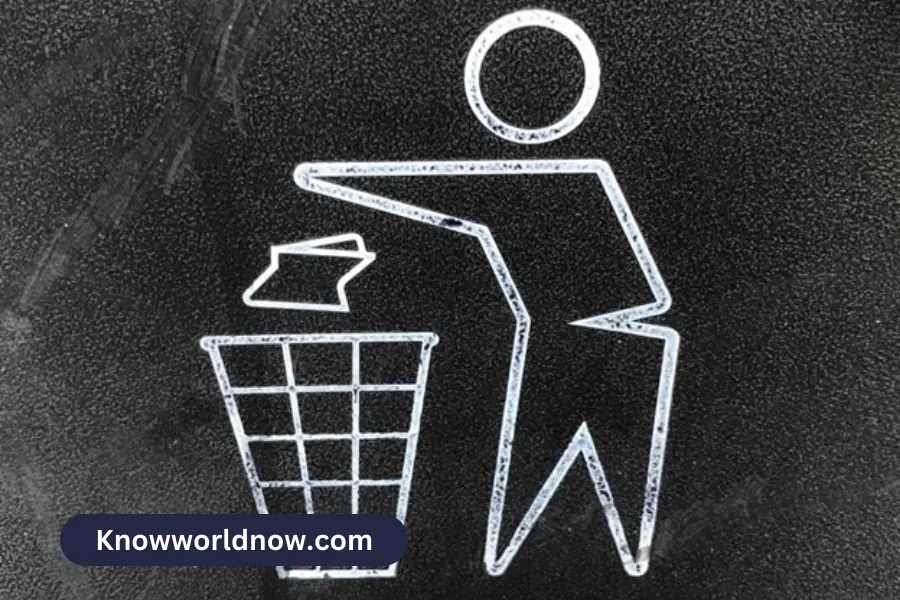 Finding the Right Waste Removal Service for Your Needs