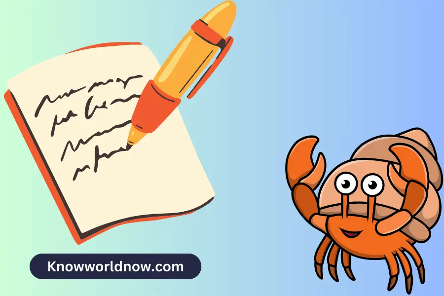 What is Hermit Crab Essay