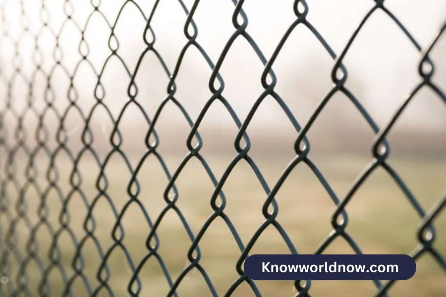 Wire Fencing Types, Applications, and Installation Methods