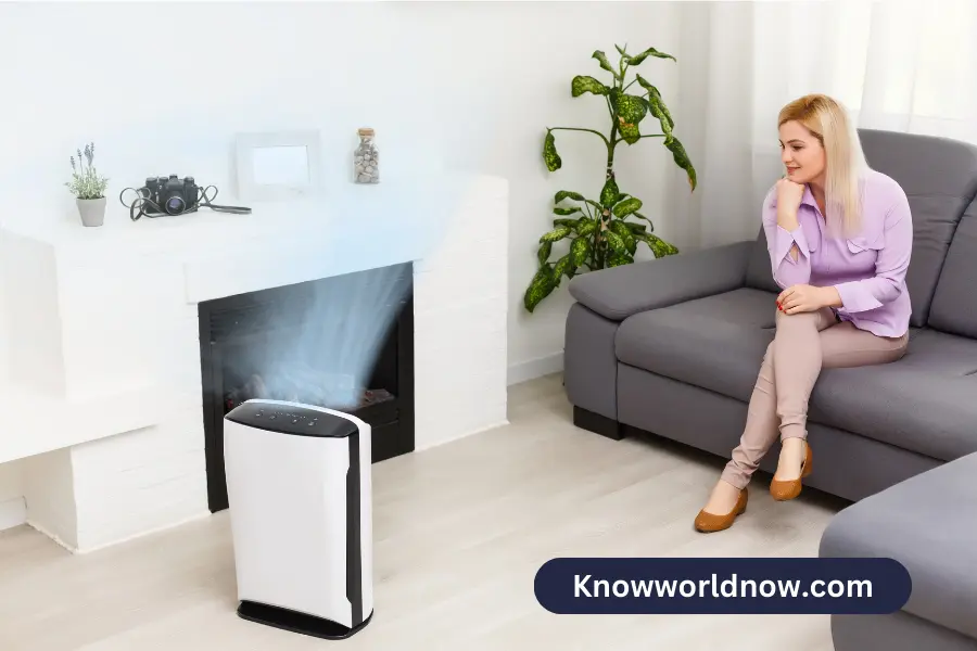 Breathe Easy The Essential Role Of Air Purifiers In Modern Living