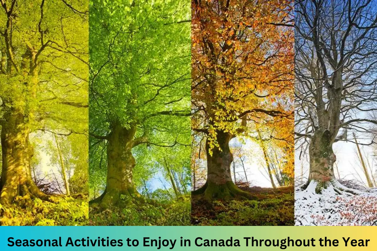 Seasonal Activities to Enjoy in Canada Throughout the Year
