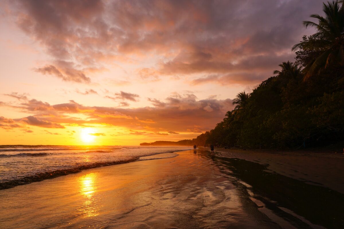 Costa Rica's Calling: The Top 5 Experiences