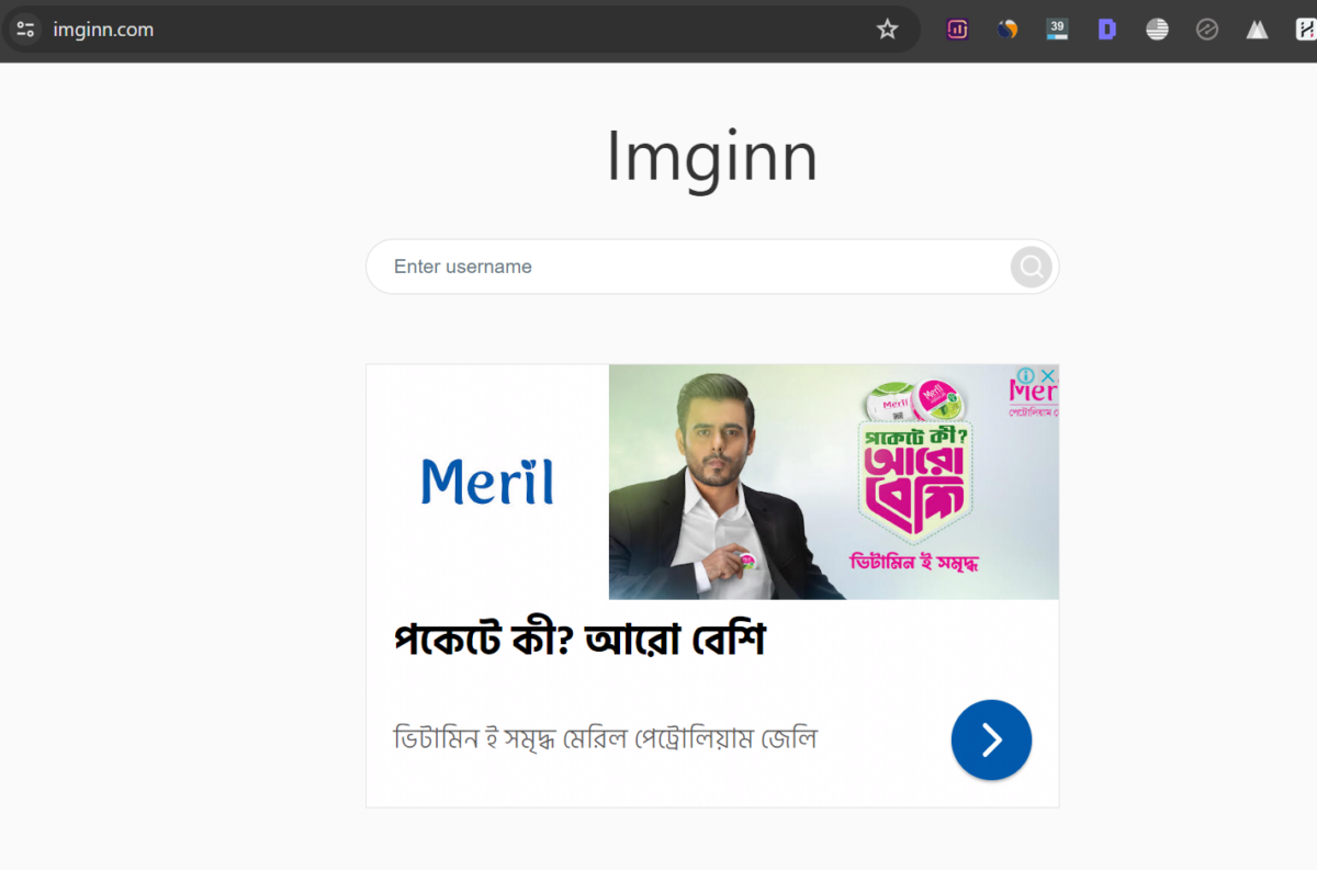 Imginn: A Comprehensive Guide for Downloading Content and Anonymous Story Viewing