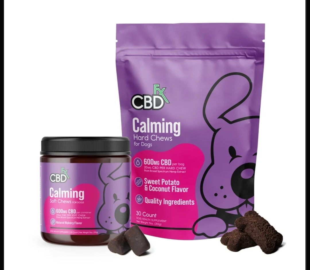 5 Top Selling CBD Products For Dogs You Can't Afford To Miss This Year