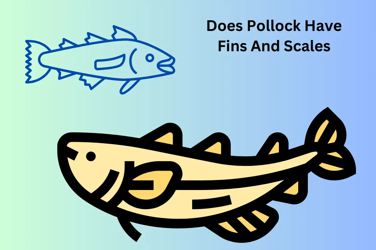 Does Pollock Have Fins And Scales