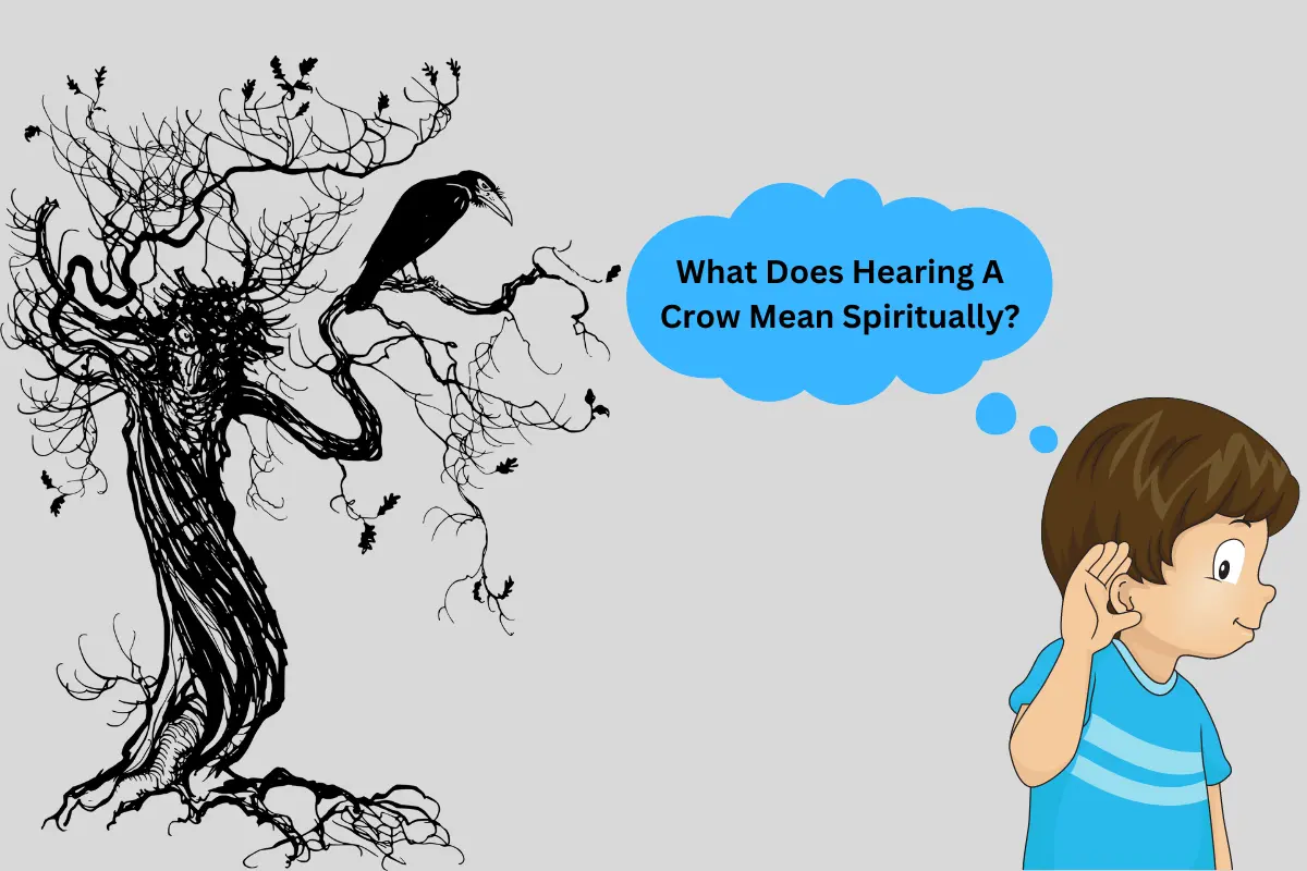 What Does Hearing A Crow Mean Spiritually