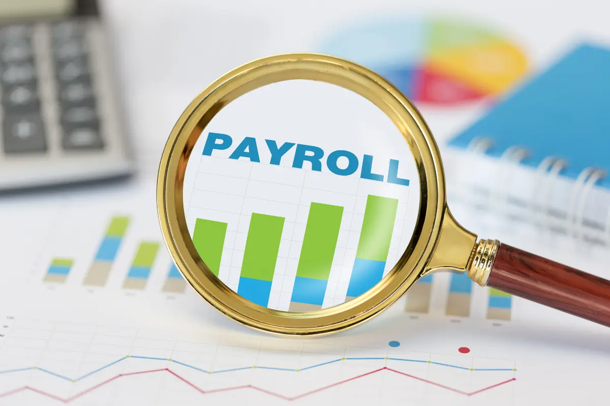 Data Quality for Payroll Accuracy