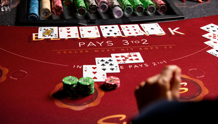Types of Casino Games: Insider Reveals Top Ones for Guaranteed Excitement