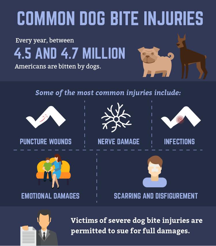 Personal Injury Lawyer for Dog Bites: Comprehensive Guide